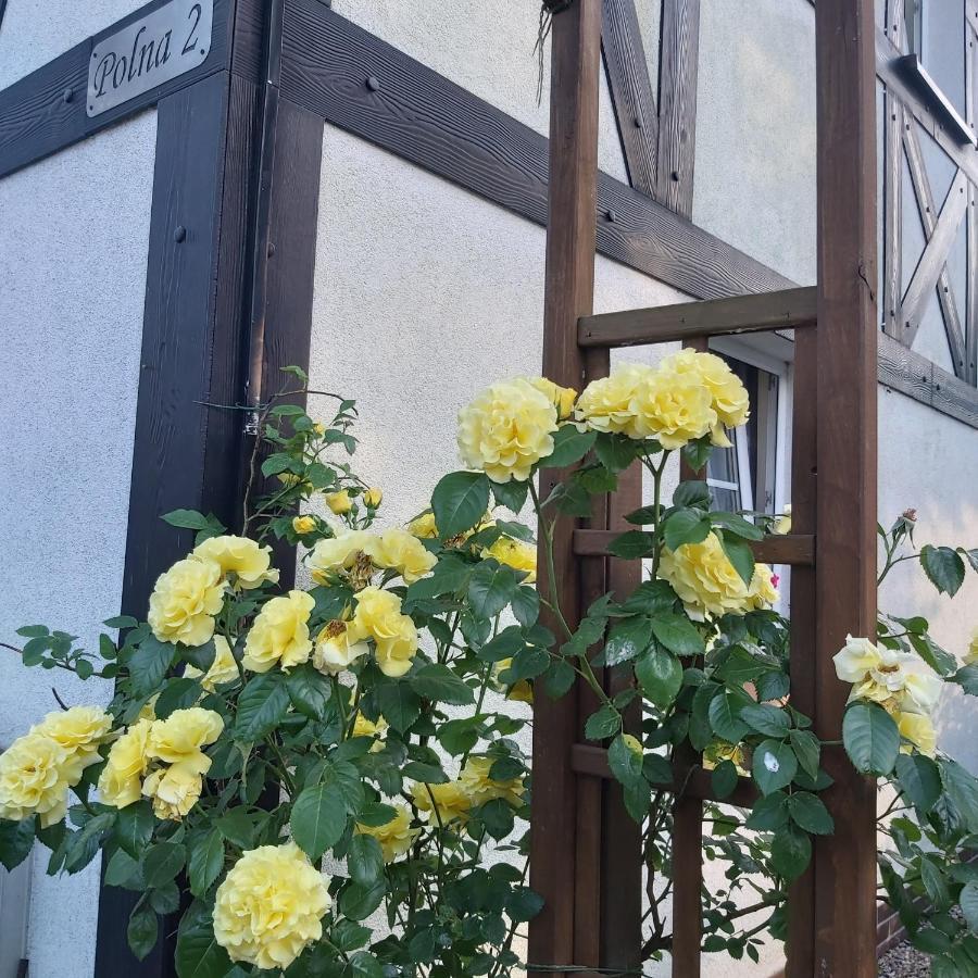 Nadmorskie Apartamenty ウストカ エクステリア 写真